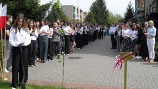 Jabłoń Pamięci przy drugim liceum ogólnokształcącym w Piszu