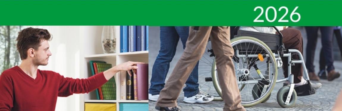 Informator, ZUS, grafika